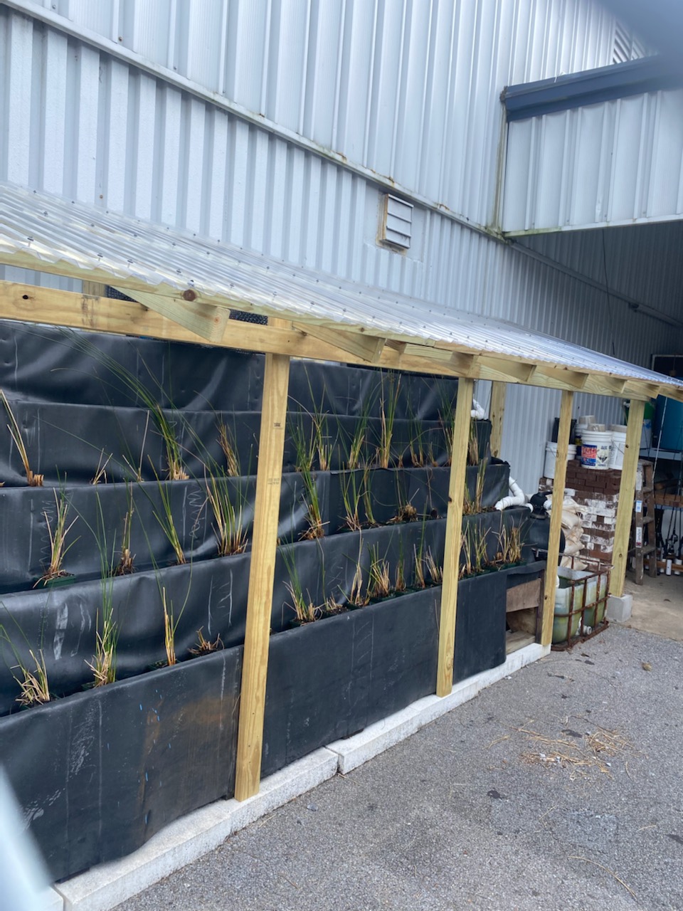 Aquaponics