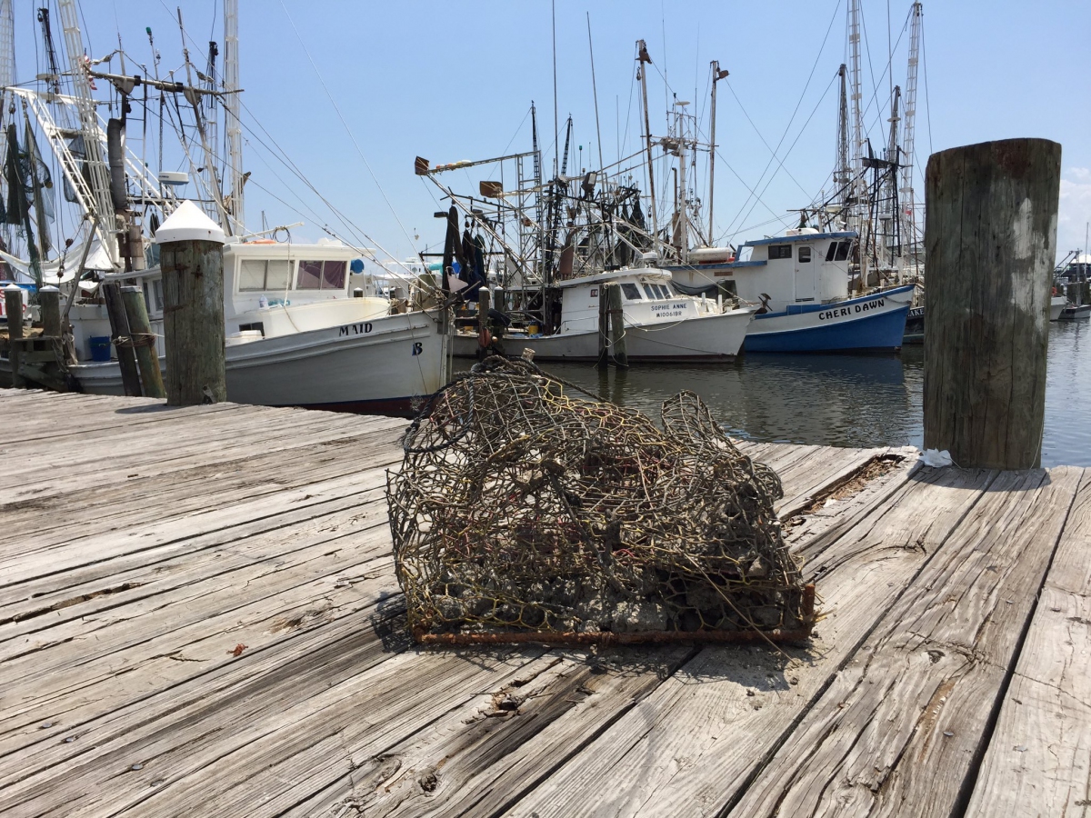 SCDNR - Derelict Crab Traps