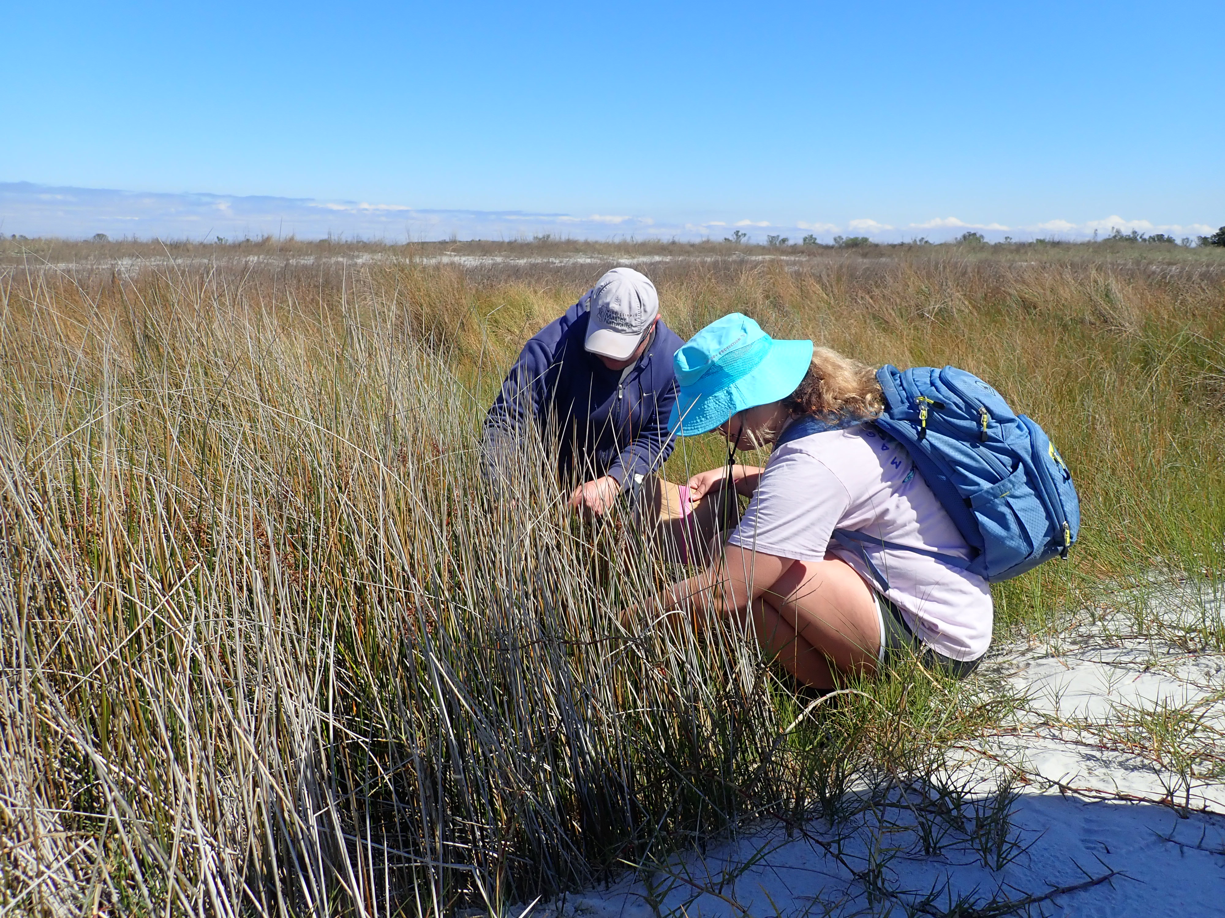 Students exploring a local marsh