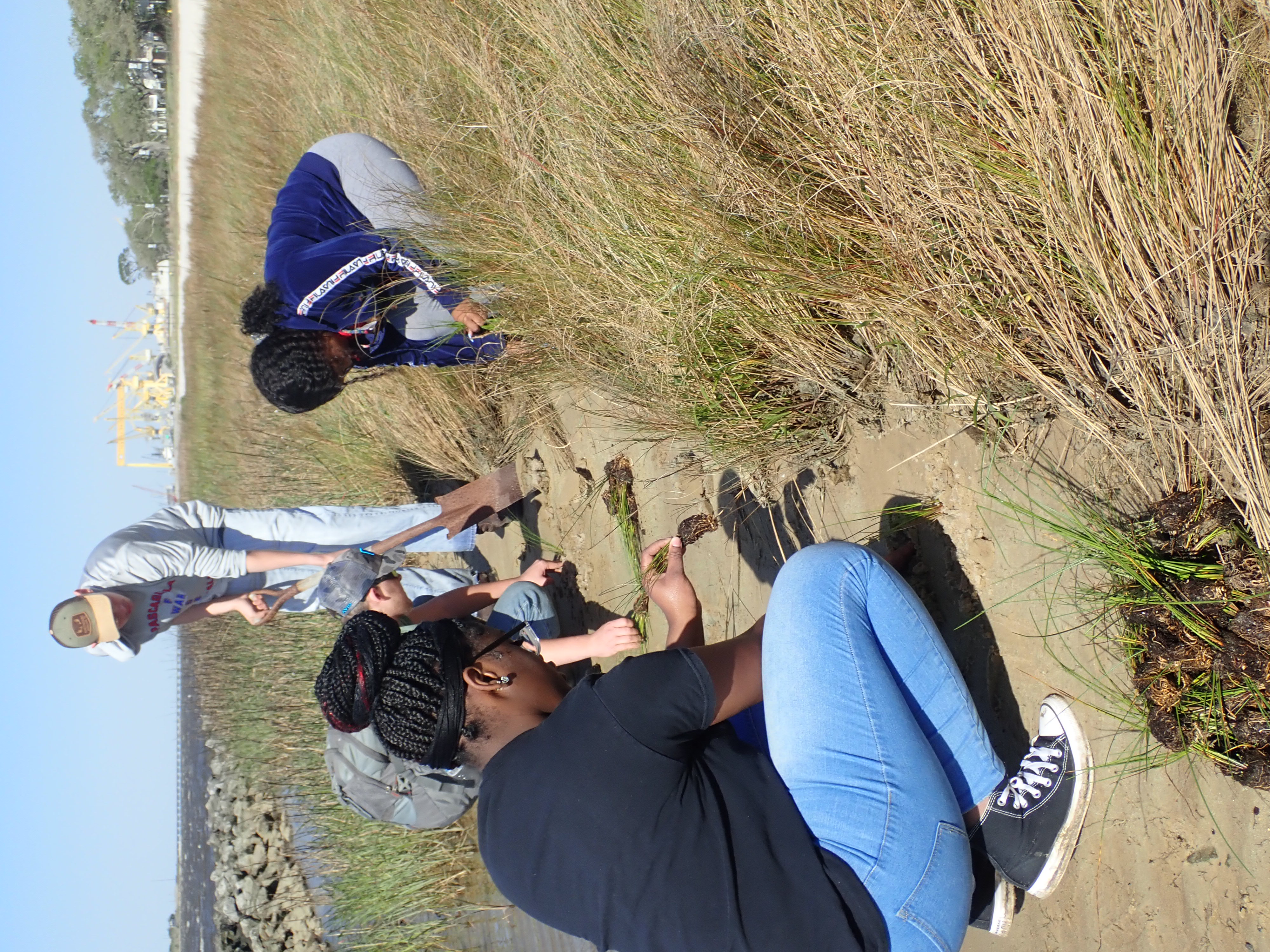 Restoration Planting